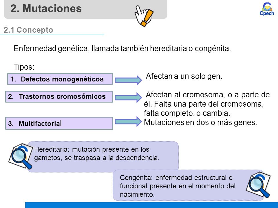 2. Mutaciones 2.1 Concepto. Enfermedad genética, llamada también hereditaria o congénita. Tipos: Afectan a un solo gen.