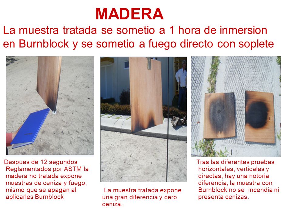 MADERA La muestra tratada se sometio a 1 hora de inmersion en Burnblock y se sometio a fuego directo con soplete