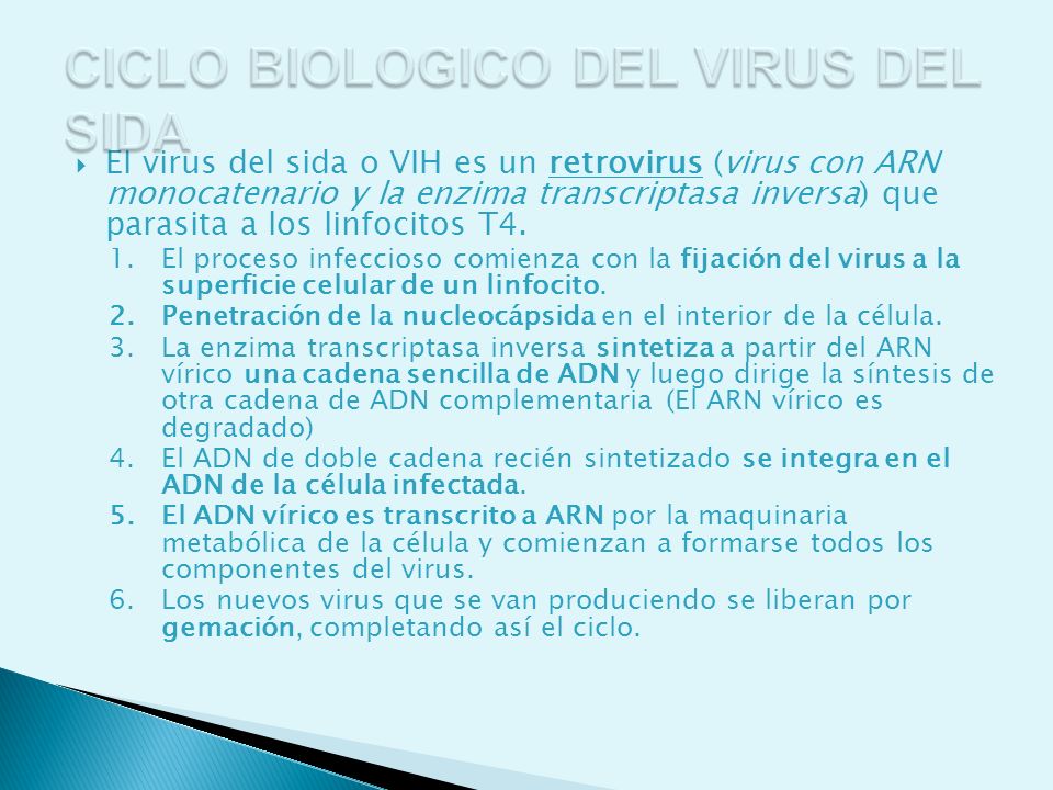 CICLO BIOLOGICO DEL VIRUS DEL SIDA