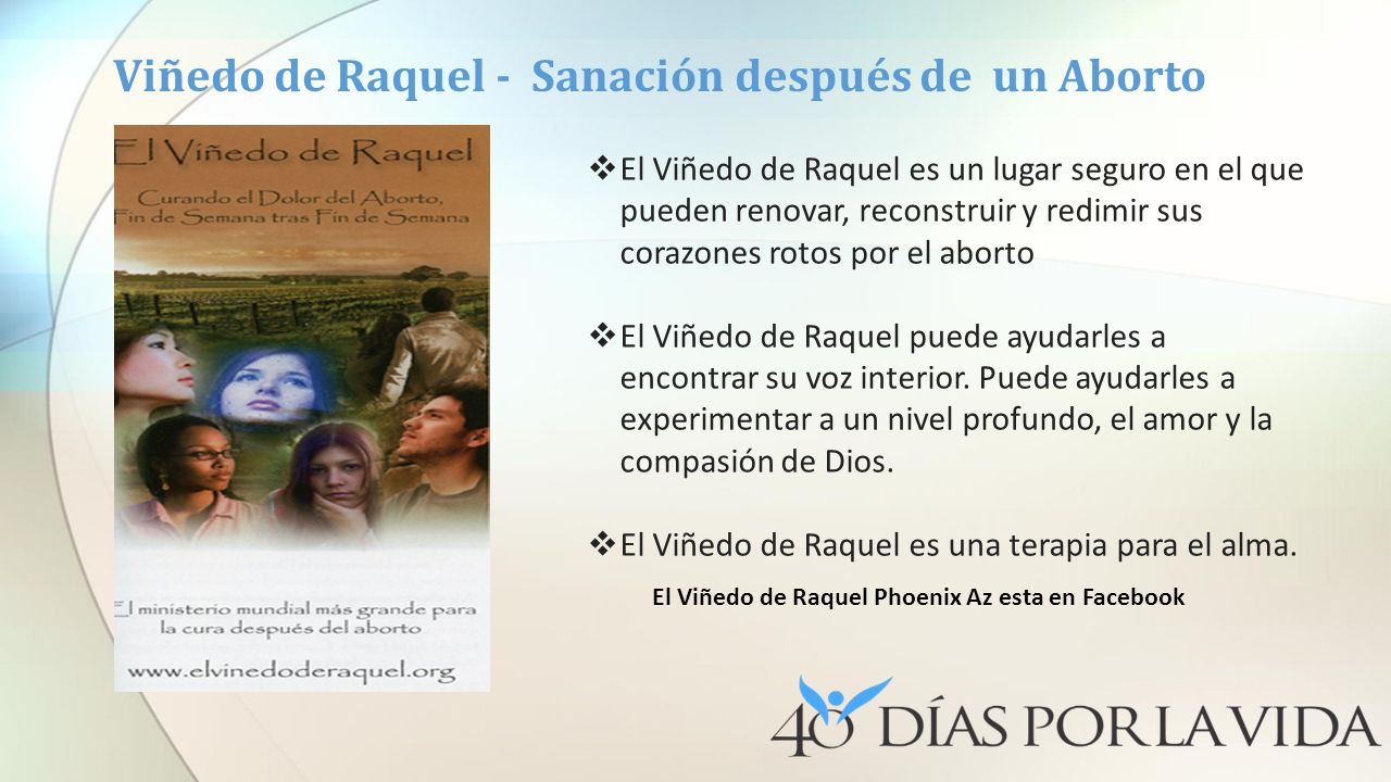 Viñedo de Raquel - Sanación después de un Aborto