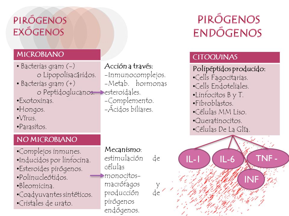 PIRÓGENOS ENDÓGENOS PIRÓGENOS EXÓGENOS IL-1 IL-6 INF TNF -α MICROBIANO