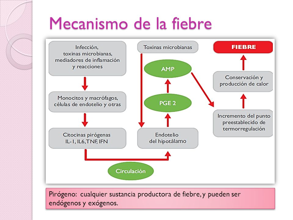 Mecanismo de la fiebre Pirógeno: cualquier sustancia productora de fiebre, y pueden ser endógenos y exógenos.