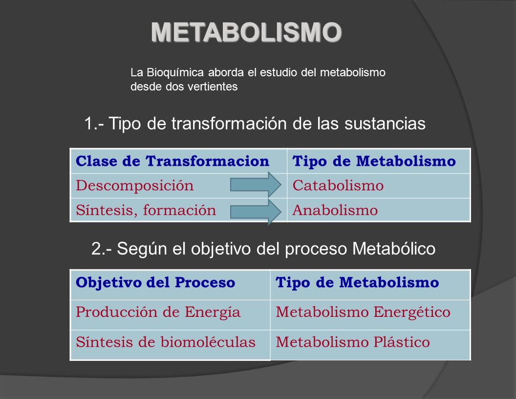 METABOLISMO 1.- Tipo de transformación de las sustancias