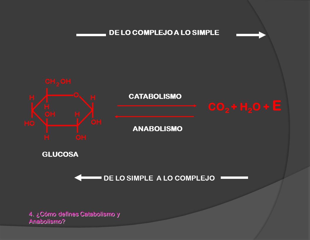 CO2 + H2O + E DE LO COMPLEJO A LO SIMPLE CATABOLISMO ANABOLISMO