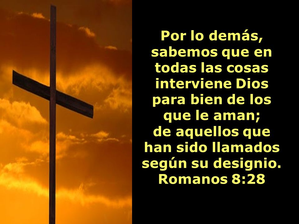 de aquellos que han sido llamados según su designio. Romanos 8:28