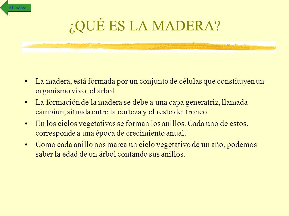 Al índice ¿QUÉ ES LA MADERA La madera, está formada por un conjunto de células que constituyen un organismo vivo, el árbol.