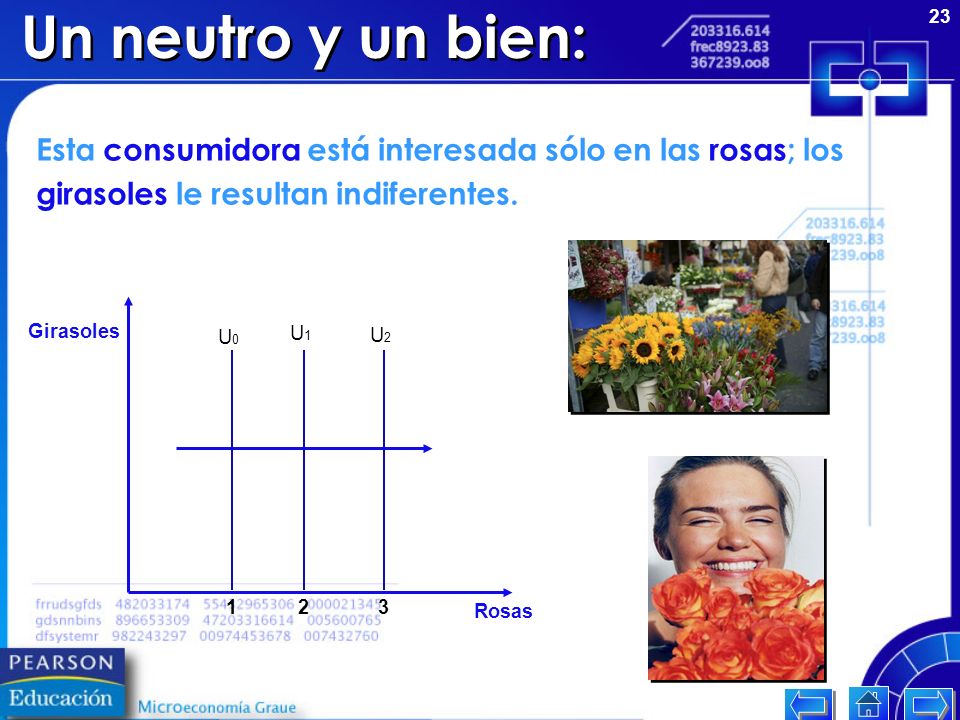 Un neutro y un bien: Esta consumidora está interesada sólo en las rosas; los. girasoles le resultan indiferentes.