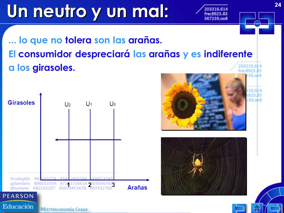 Un neutro y un mal: ... lo que no tolera son las arañas.