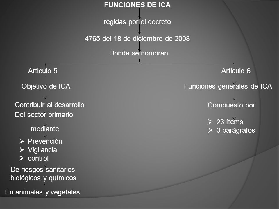 FUNCIONES DE ICA regidas por el decreto del 18 de diciembre de Donde se nombran.