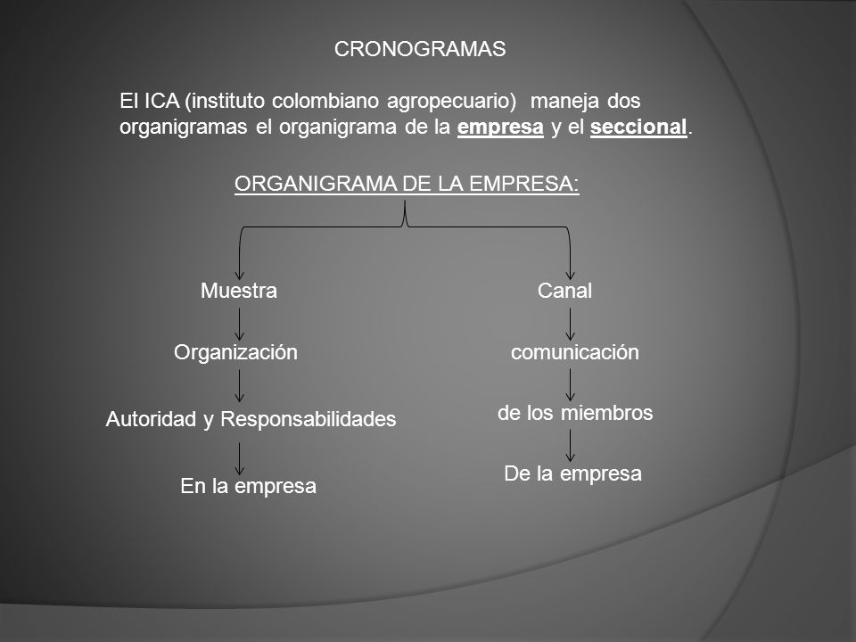 CRONOGRAMAS El ICA (instituto colombiano agropecuario) maneja dos organigramas el organigrama de la empresa y el seccional.