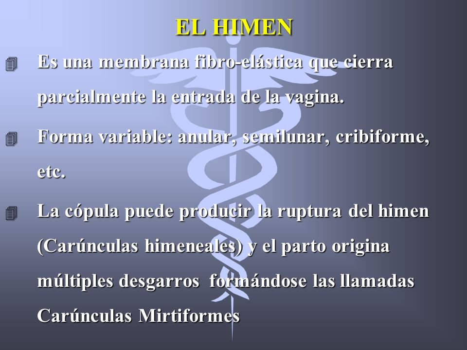 EL HIMEN Es una membrana fibro-elástica que cierra parcialmente la entrada de la vagina. Forma variable: anular, semilunar, cribiforme, etc.