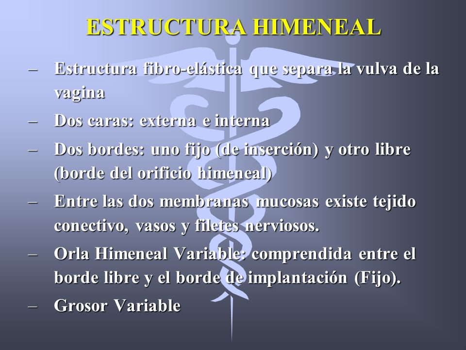 ESTRUCTURA HIMENEAL Estructura fibro-elástica que separa la vulva de la vagina. Dos caras: externa e interna.