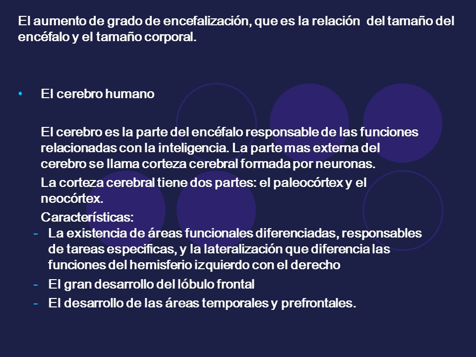 El aumento de grado de encefalización, que es la relación del tamaño del encéfalo y el tamaño corporal.