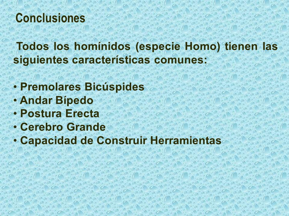 Conclusiones Todos los homínidos (especie Homo) tienen las siguientes características comunes: Premolares Bicúspides.