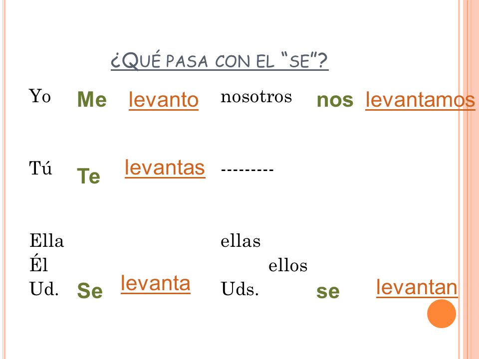 Me nos Te Se se levanto levantamos levantas levanta levantan
