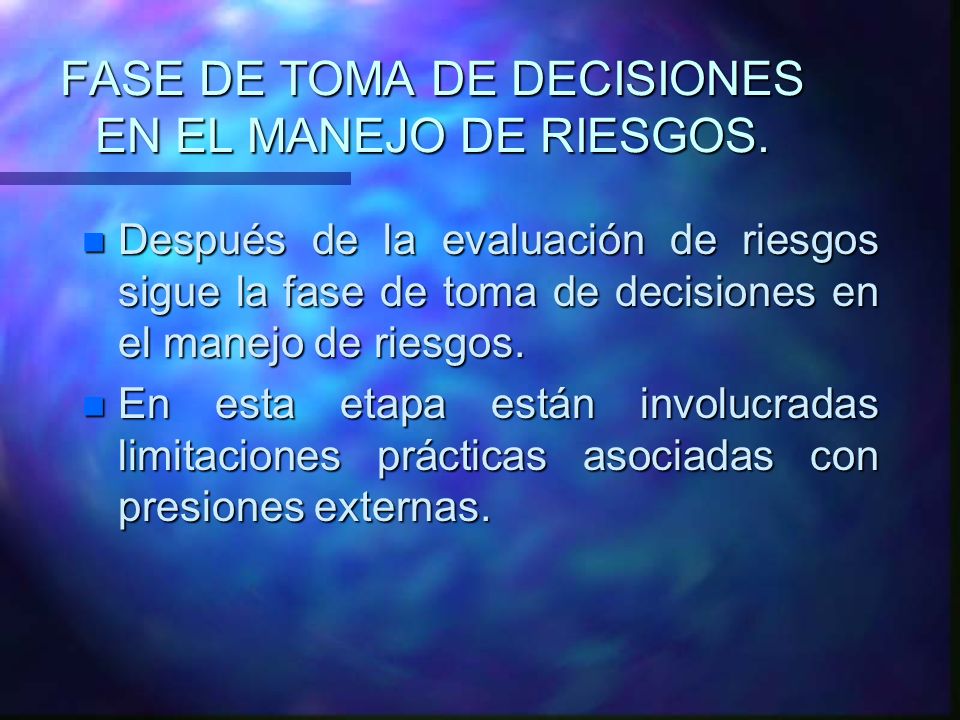 FASE DE TOMA DE DECISIONES EN EL MANEJO DE RIESGOS.