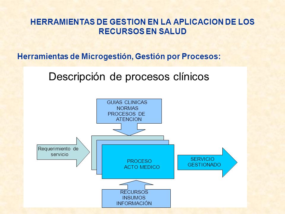 HERRAMIENTAS DE GESTION EN LA APLICACION DE LOS RECURSOS EN SALUD