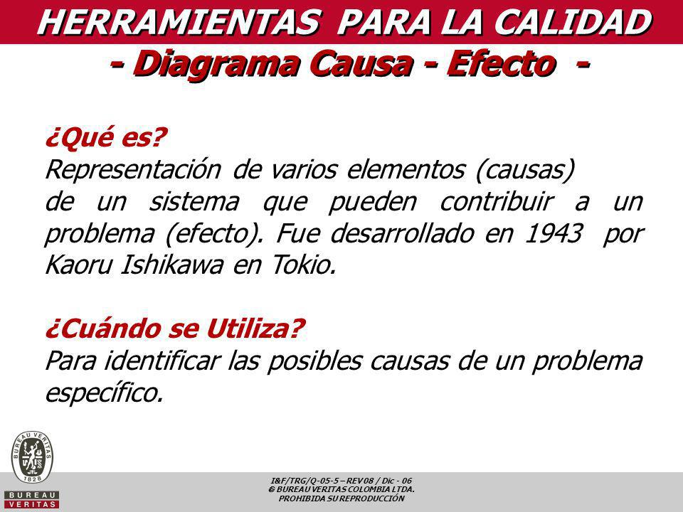 HERRAMIENTAS PARA LA CALIDAD - Diagrama Causa - Efecto -
