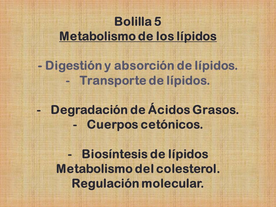 Metabolismo de los lípidos - Digestión y absorción de lípidos.