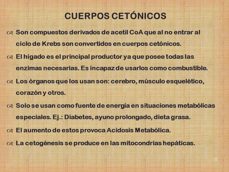 CUERPOS CETÓNICOS Son compuestos derivados de acetil CoA que al no entrar al ciclo de Krebs son convertidos en cuerpos cetónicos.