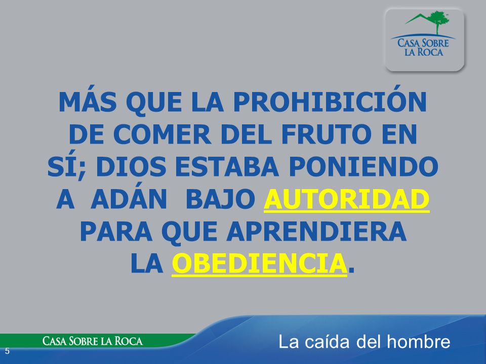 MÁS QUE LA PROHIBICIÓN DE COMER DEL FRUTO EN SÍ; DIOS ESTABA PONIENDO A ADÁN BAJO AUTORIDAD PARA QUE APRENDIERA LA OBEDIENCIA.