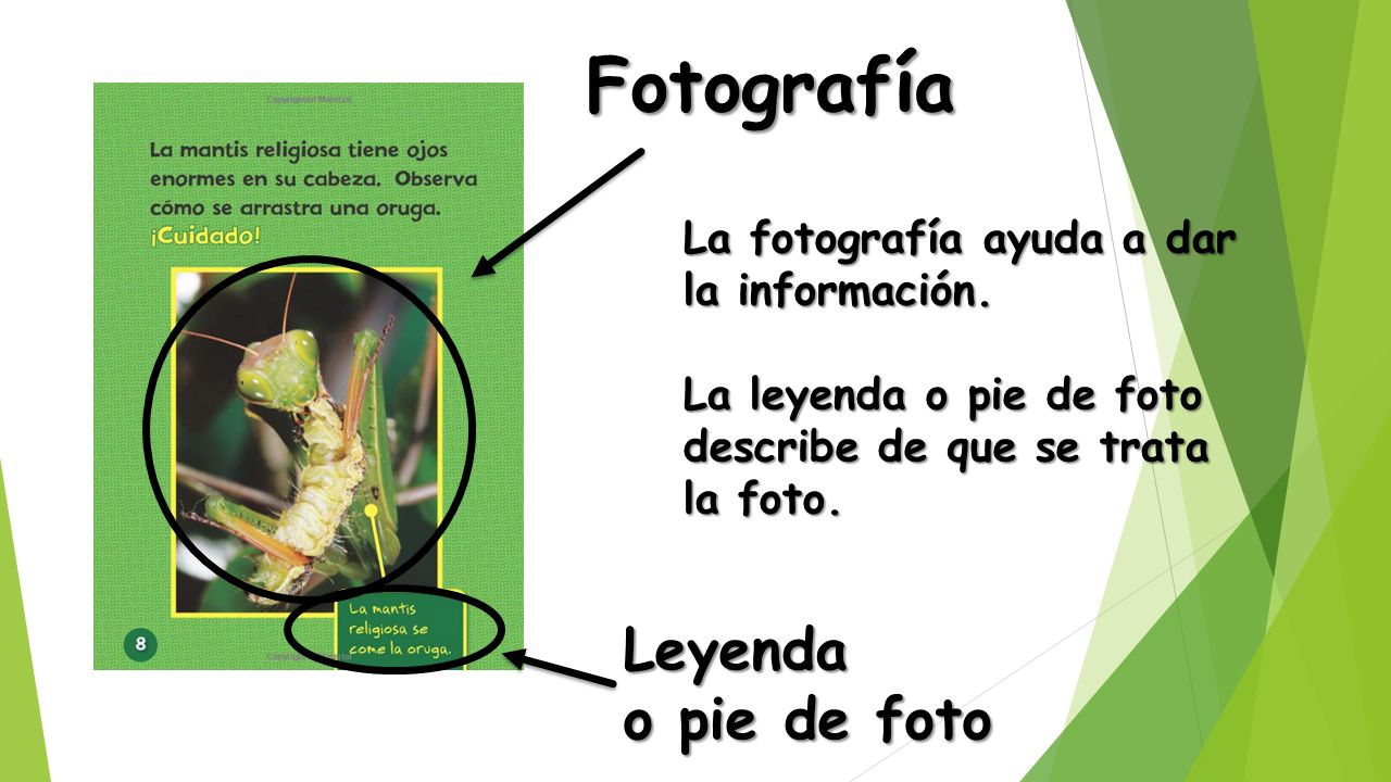 Fotografía Leyenda o pie de foto La fotografía ayuda a dar
