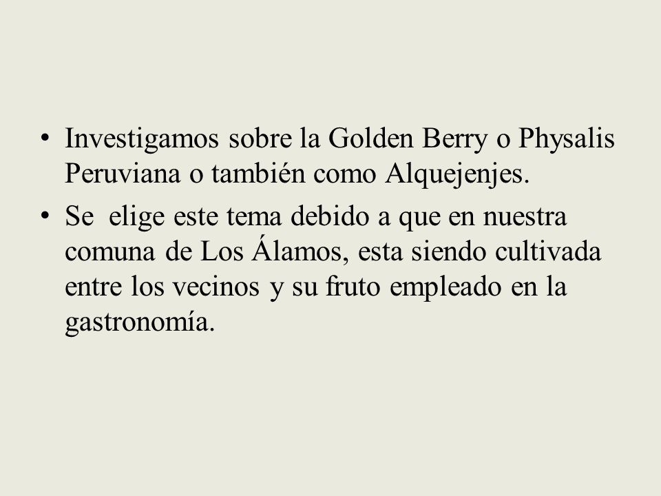 Investigamos sobre la Golden Berry o Physalis Peruviana o también como Alquejenjes.