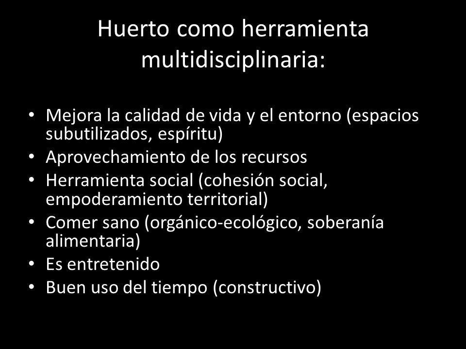 Huerto como herramienta multidisciplinaria: