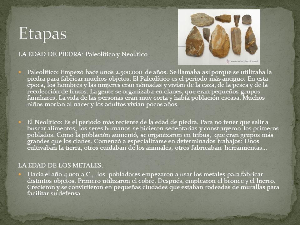 Etapas LA EDAD DE PIEDRA: Paleolítico y Neolítico.