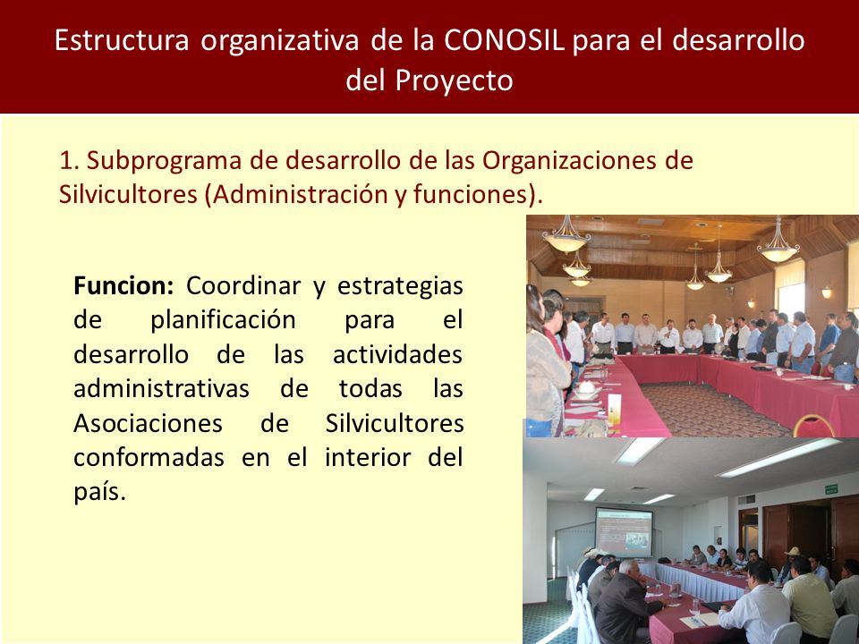 Estructura organizativa de la CONOSIL para el desarrollo del Proyecto