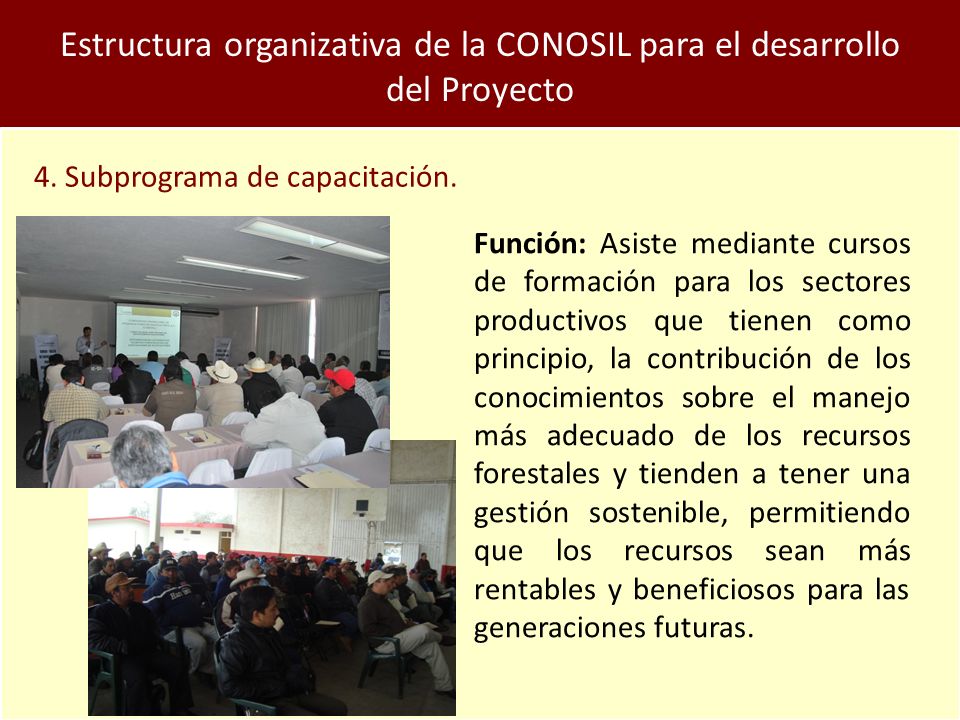 Estructura organizativa de la CONOSIL para el desarrollo del Proyecto