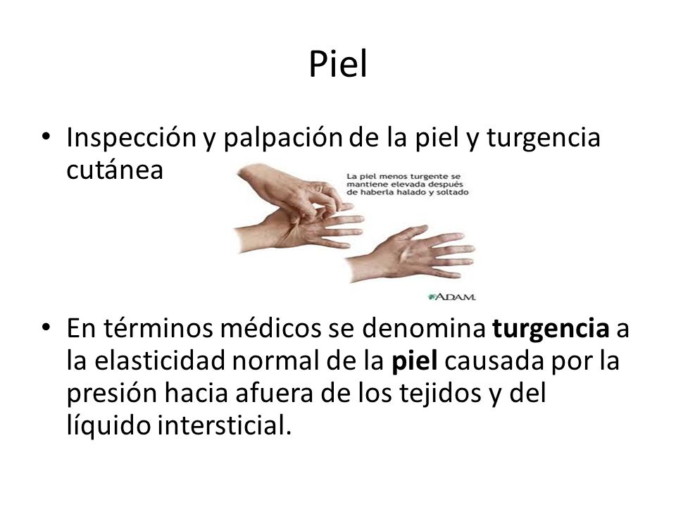 Piel Inspección y palpación de la piel y turgencia cutánea