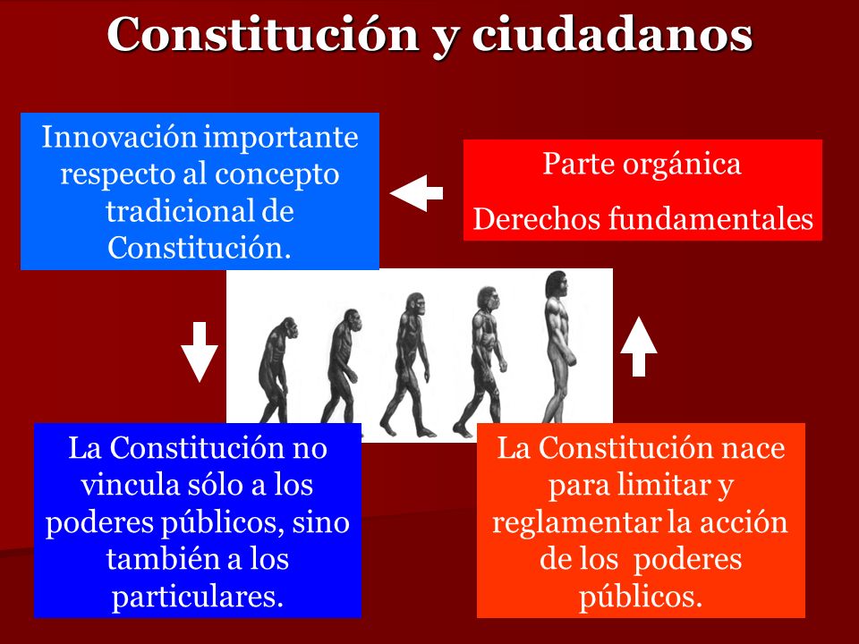 Constitución y ciudadanos
