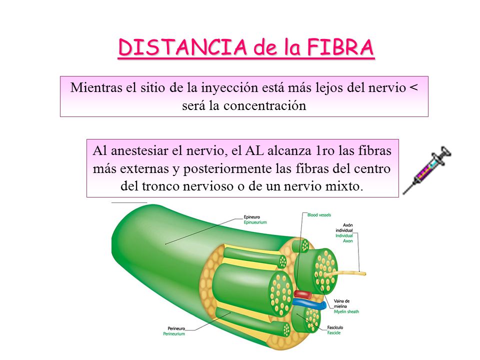 DISTANCIA de la FIBRA Mientras el sitio de la inyección está más lejos del nervio < será la concentración.