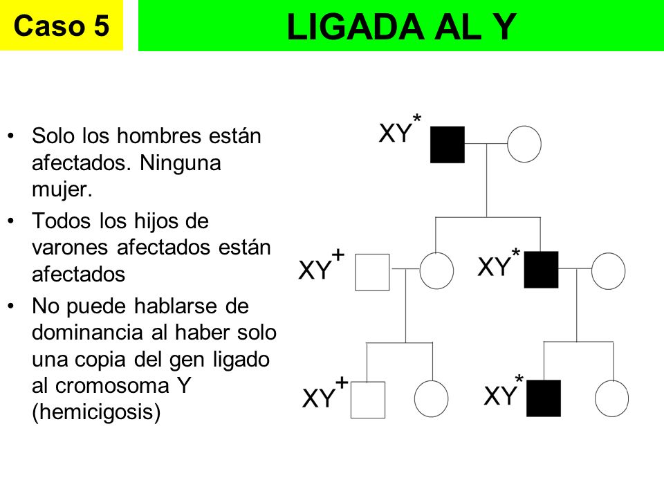 LIGADA AL Y Caso 5 Solo los hombres están afectados. Ninguna mujer.