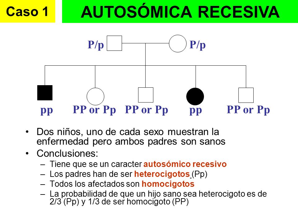 AUTOSÓMICA RECESIVA Caso 1 P/p pp PP or Pp