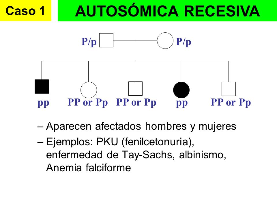 AUTOSÓMICA RECESIVA Caso 1 P/p pp PP or Pp
