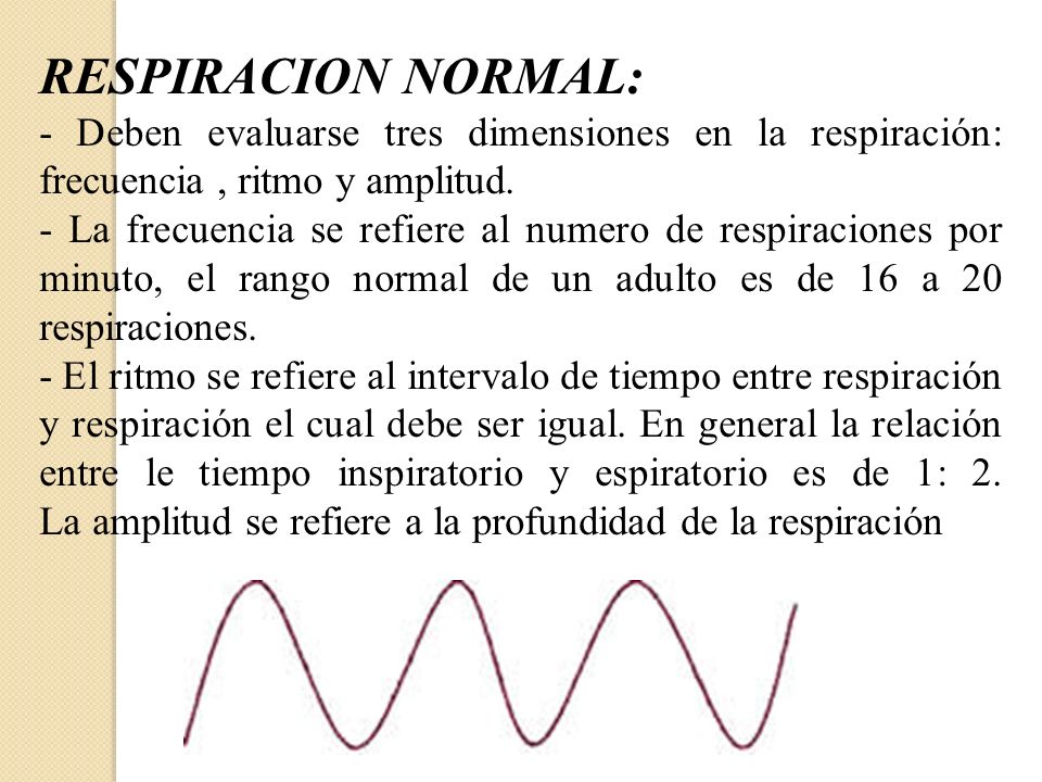 RESPIRACION NORMAL: - Deben evaluarse tres dimensiones en la respiración: frecuencia , ritmo y amplitud.