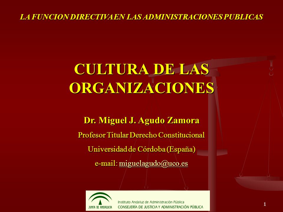 CULTURA DE LAS ORGANIZACIONES
