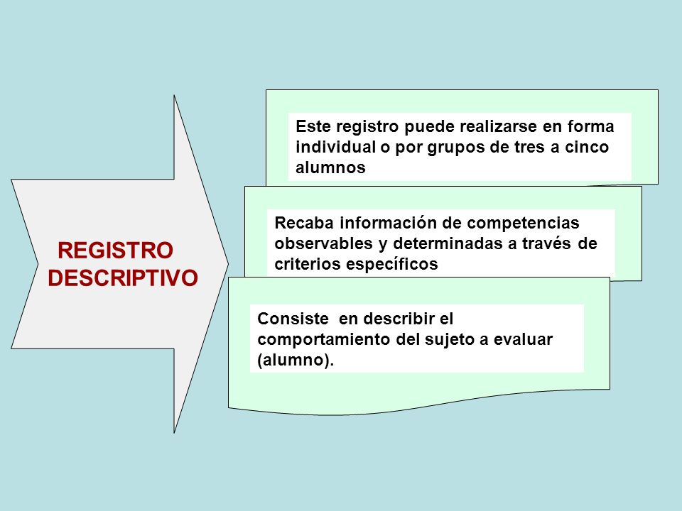 Este registro puede realizarse en forma individual o por grupos de tres a cinco alumnos