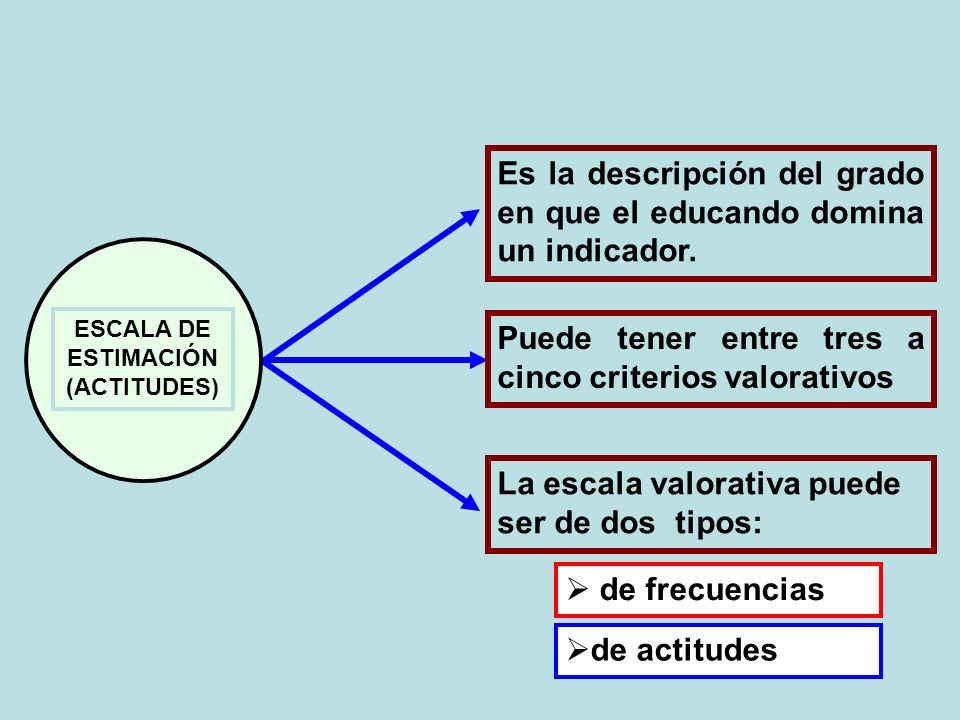 Es la descripción del grado en que el educando domina un indicador.