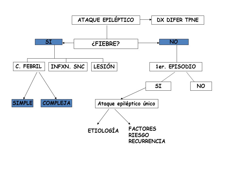 ¿FIEBRE ATAQUE EPILÉPTICO DX DIFER TPNE SI NO C. FEBRIL INFXN. SNC
