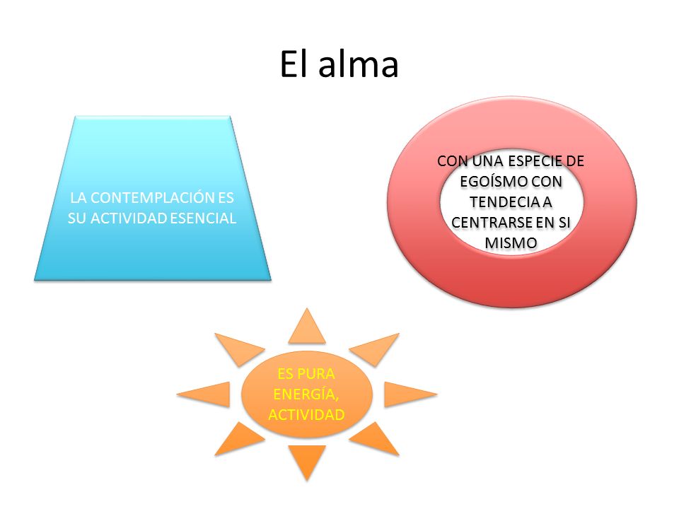 El alma CON UNA ESPECIE DE EGOÍSMO CON TENDECIA A CENTRARSE EN SI MISMO. LA CONTEMPLACIÓN ES SU ACTIVIDAD ESENCIAL.