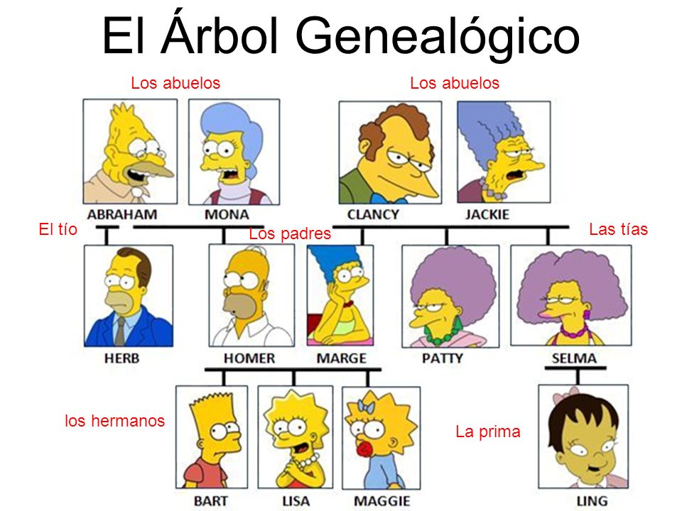 El Árbol Genealógico Los abuelos Los abuelos El tío Las tías