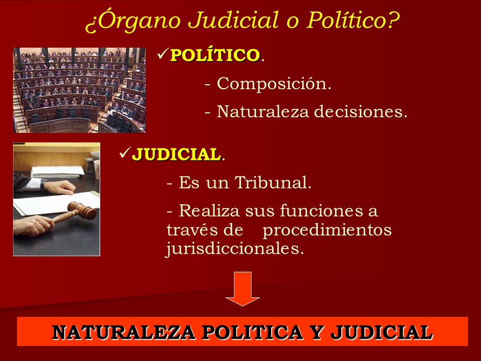 NATURALEZA POLITICA Y JUDICIAL