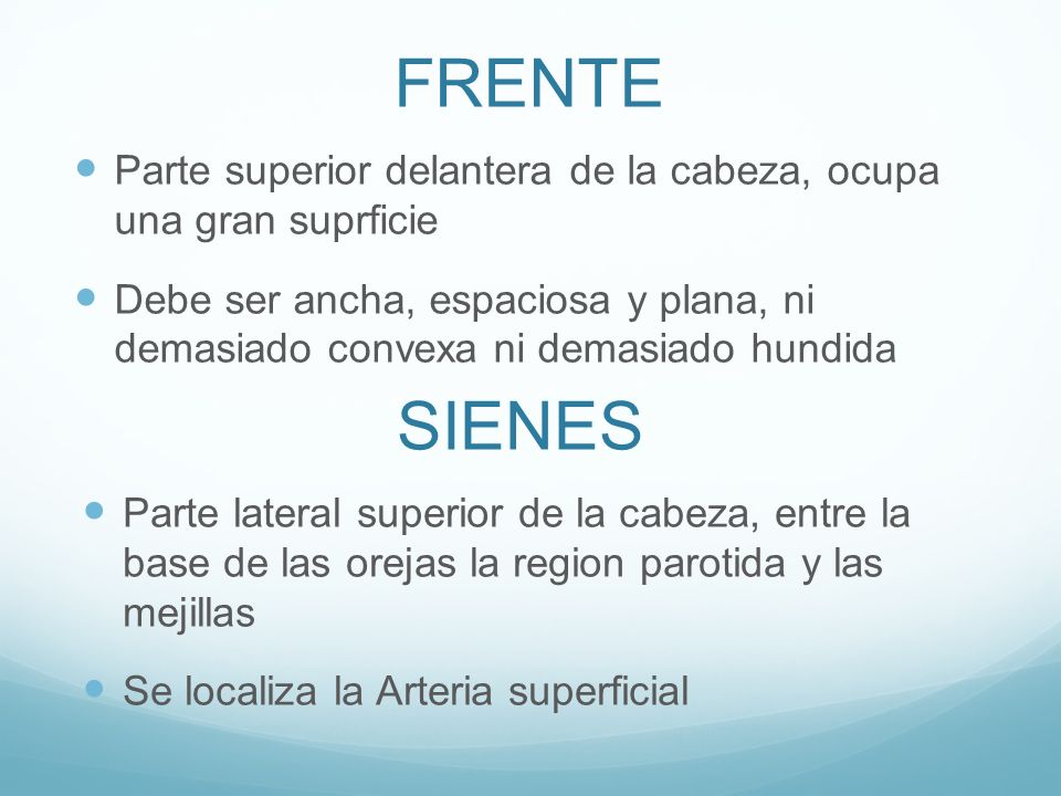 FRENTE Parte superior delantera de la cabeza, ocupa una gran suprficie.