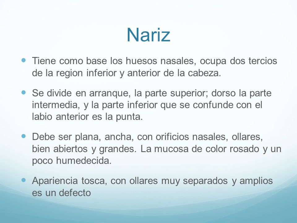 Nariz Tiene como base los huesos nasales, ocupa dos tercios de la region inferior y anterior de la cabeza.