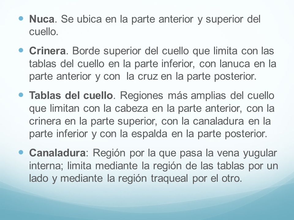 Nuca. Se ubica en la parte anterior y superior del cuello.