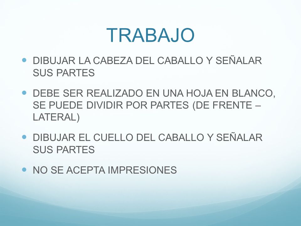 TRABAJO DIBUJAR LA CABEZA DEL CABALLO Y SEÑALAR SUS PARTES