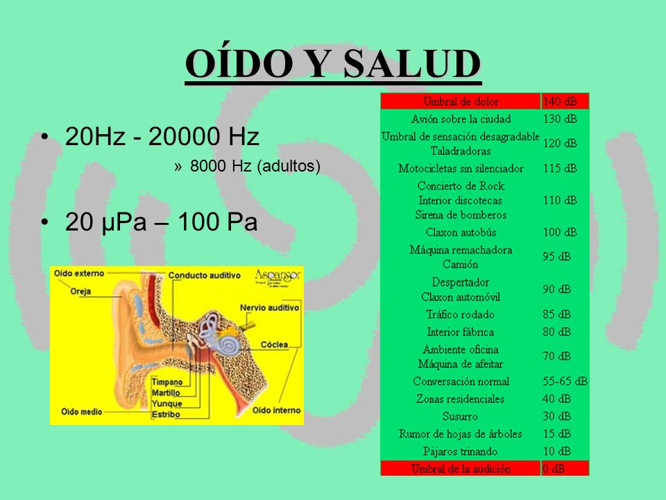 OÍDO Y SALUD 20Hz Hz 8000 Hz (adultos) 20 µPa – 100 Pa